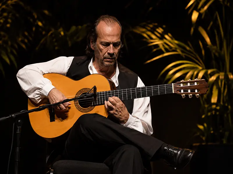 Classical nylon-string guitar